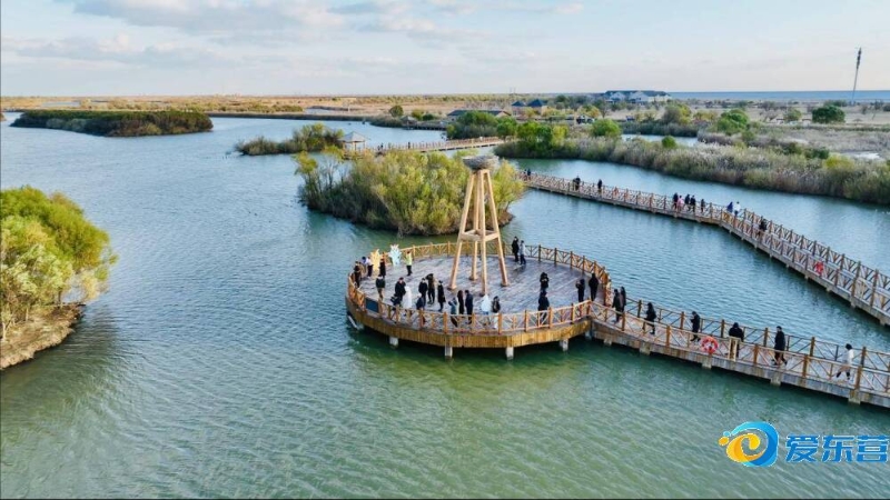 防线方面显 防线方面显